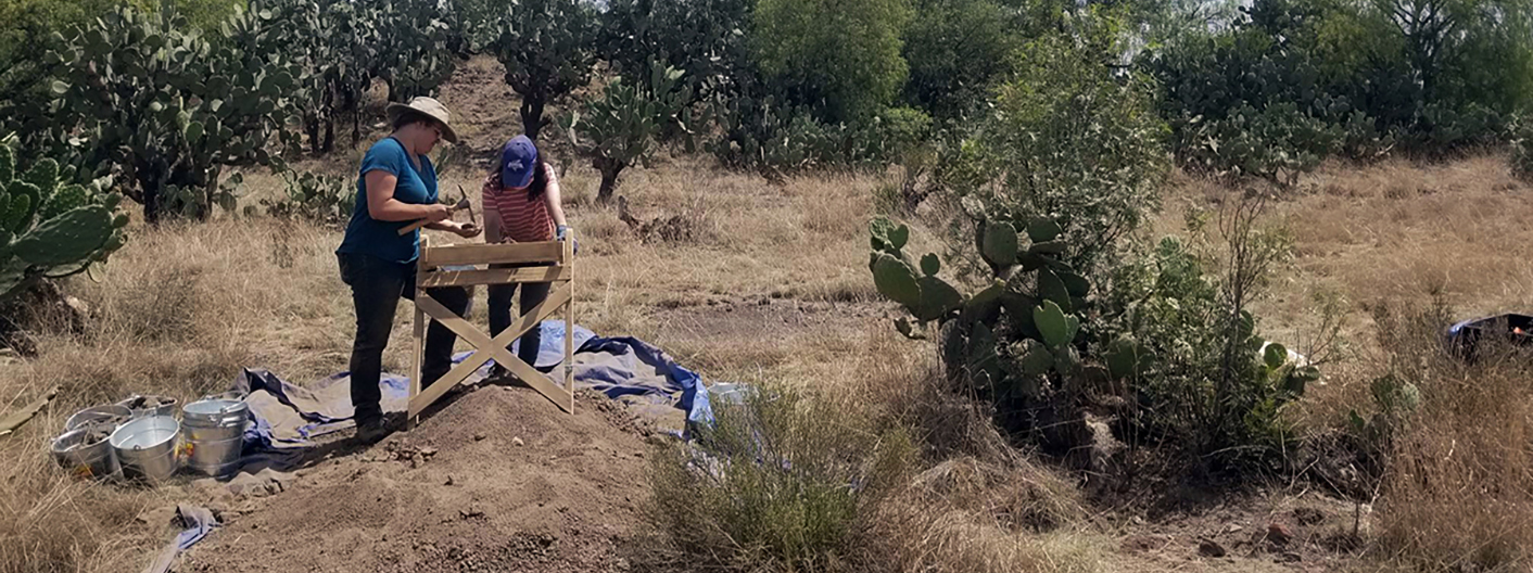 Students doing research in a mostly dirt field surrounded by cacti